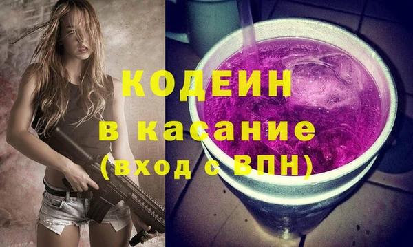 стаф Вязьма